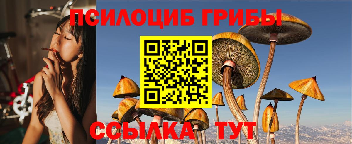 Галлюциногенные грибы Magic Shrooms  Вход с VPN  Буйнакск 